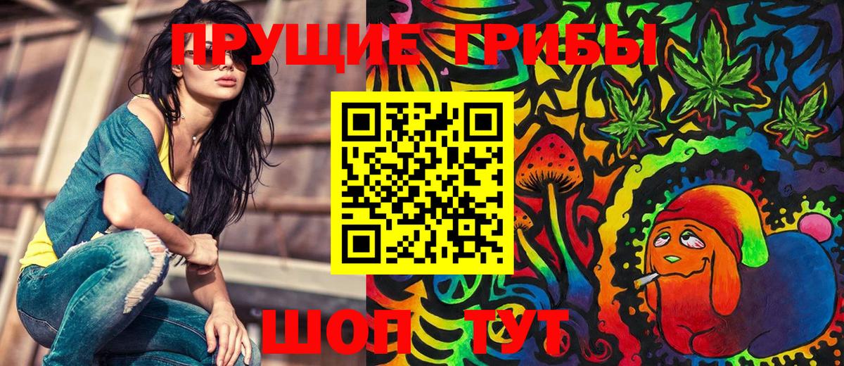 Урус-Мартан  Галлюциногенные грибы MAGIC MUSHROOMS  Вход с VPN 
