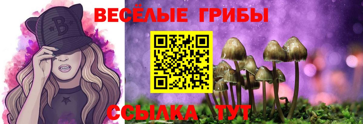 Псилоцибиновые грибы Cubensis Урус-Мартан